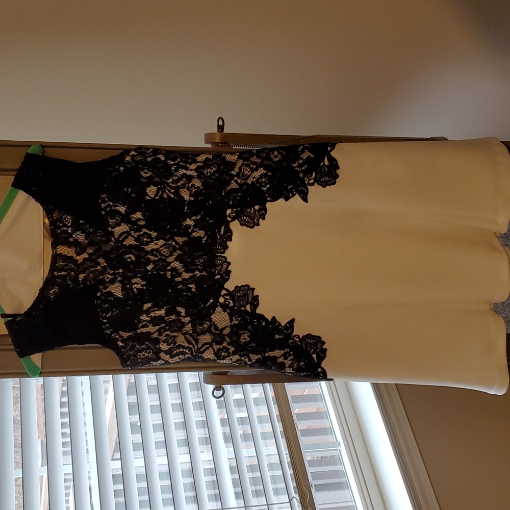 Melrose brand a-line Black and White lace cocktail / wedding guest dress. Size 6